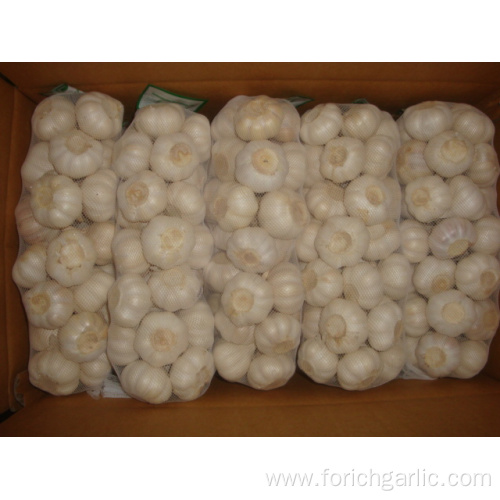 Pure White Garlic 4.5cm packing 1kg 10bags carton